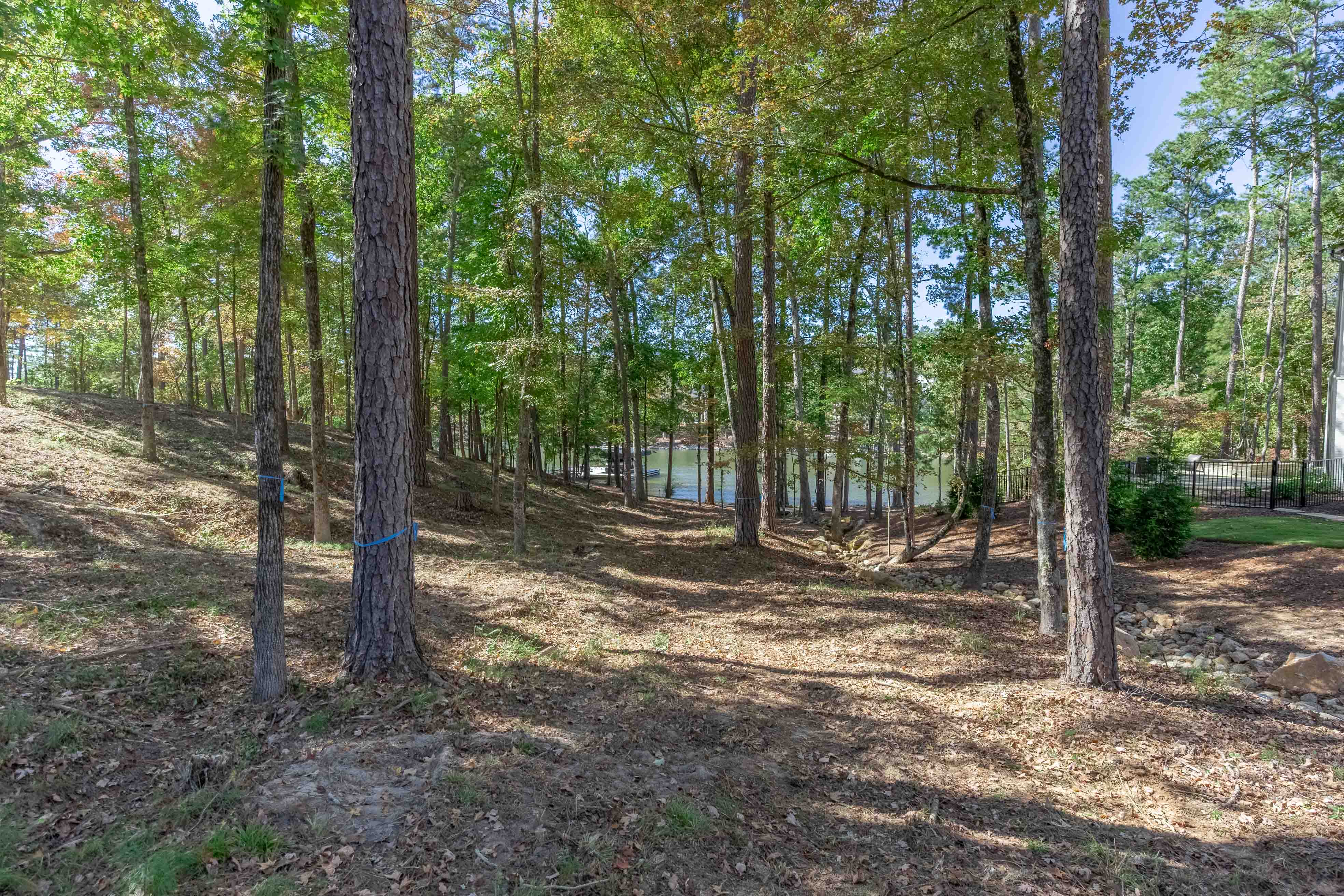 1545 Night Heron Drive image 5